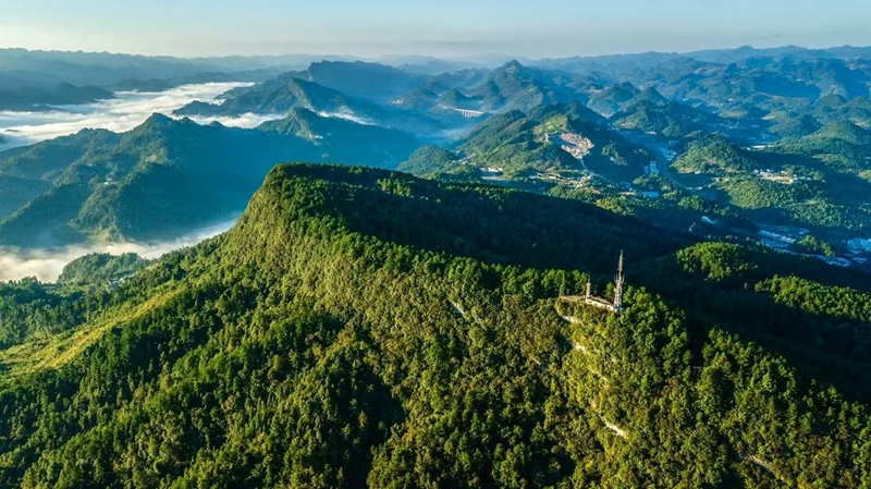 貴州務川:仡鄉(xiāng)山水孕珍味 黔北沃土出佳鮮 (2)