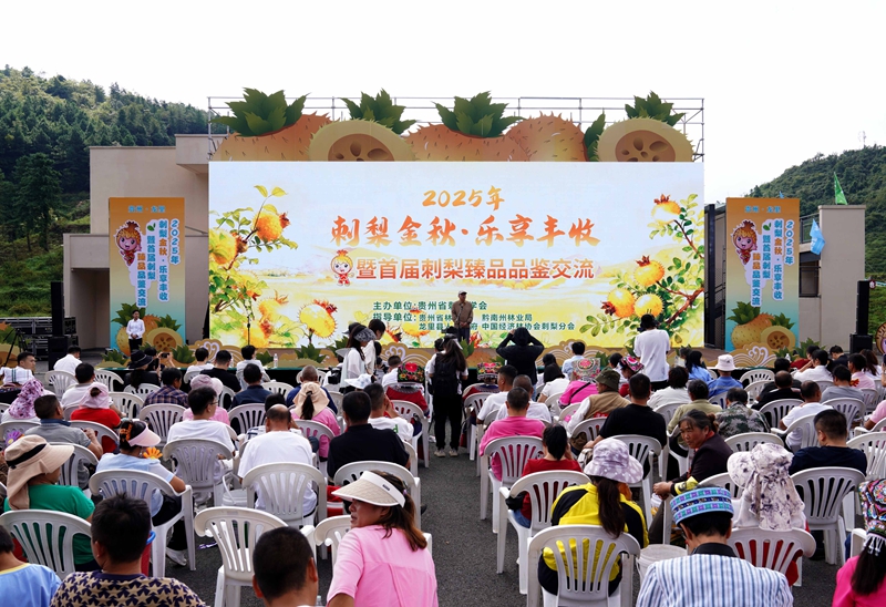 9  活動(dòng)現(xiàn)場(chǎng)