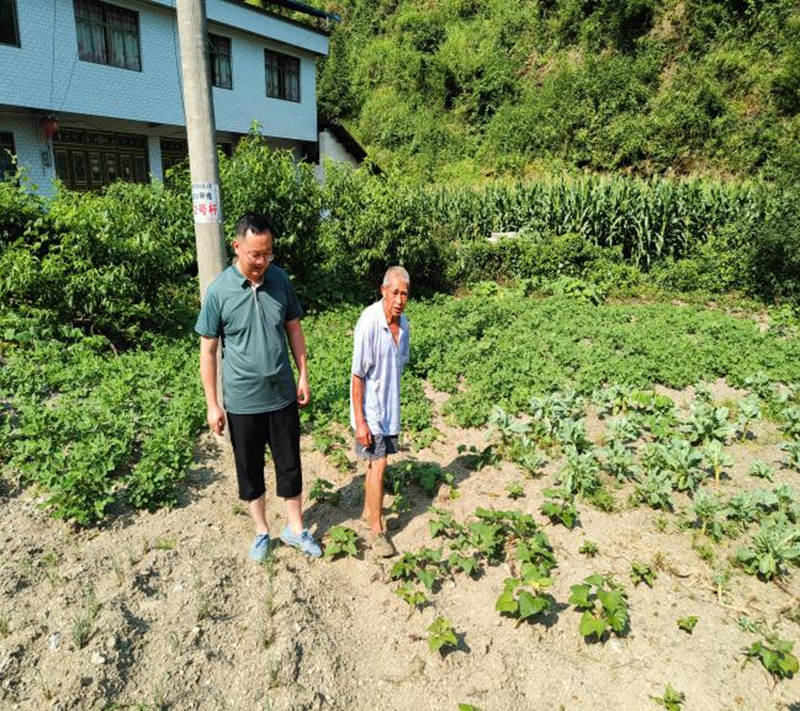 黃林了解村民農作物生產情況。