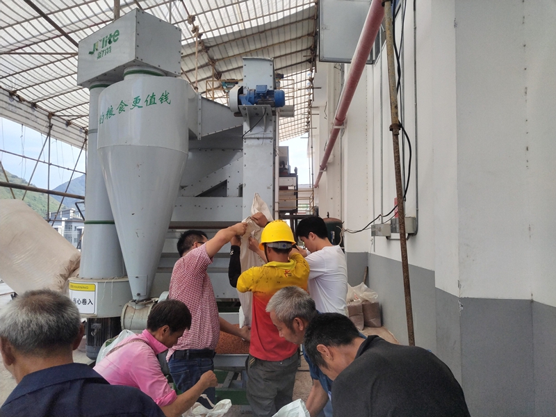 土城鎮黔沿村駐村隊協助村民用設備處理紅粱，保障品質。習水融媒體中心供圖