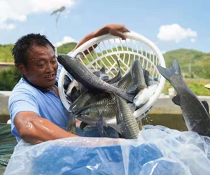 仡鄉山水孕珍味