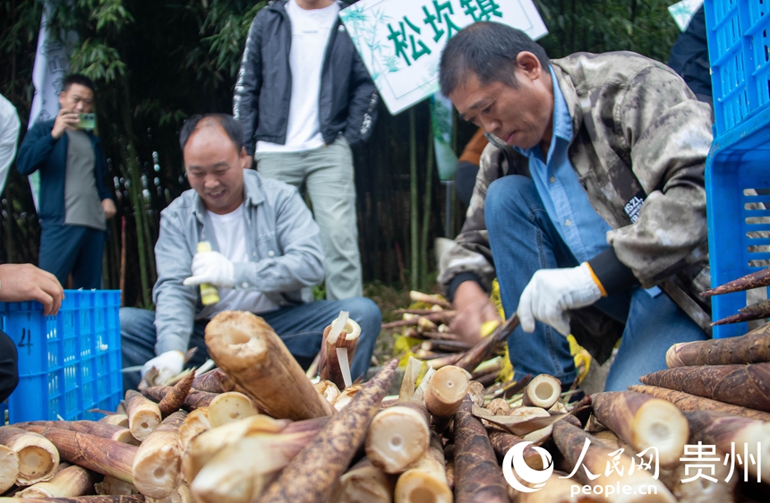 農戶正在剝方竹筍。人民網 黃小桃攝