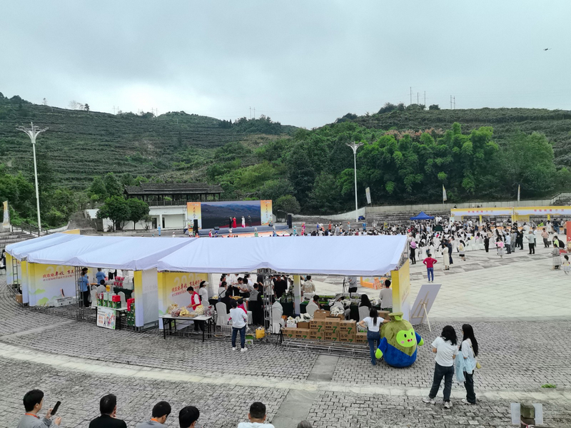 大會活動現(xiàn)場。李宇攝