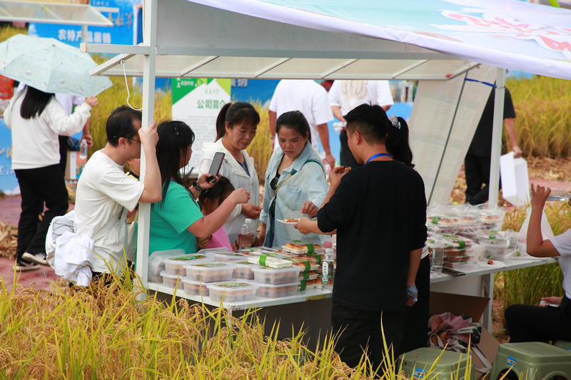七星關區2025年中國農民豐收節稻田新市集在碧海街道張家寨社區金色的稻田里熱鬧開張，各種農特產品琳瑯滿目，攤位前，游客簇擁品嘗、選購。