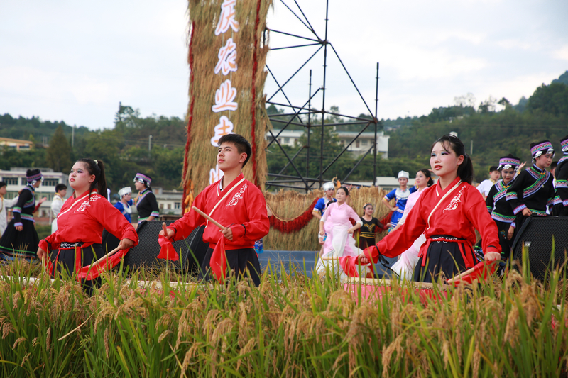 七星關區2025年中國農民豐收節分會場活動現場, 文藝匯演精彩紛呈。