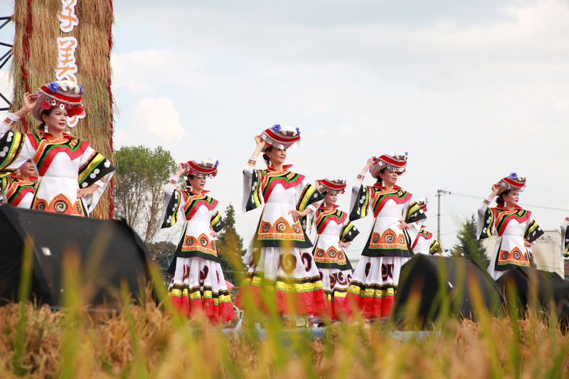 七星關區2025年中國農民豐收節分會場活動現場, 文藝匯演精彩紛呈。