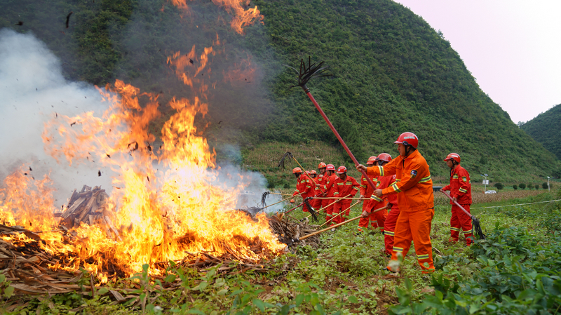9月19日麻陽河保護區森林防滅火撲救演練現場。