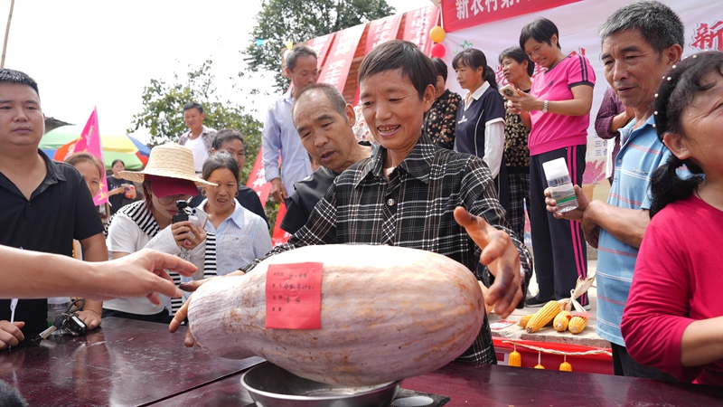 村民們紛紛帶著自家的農作物進行“農作物稱重大比拼”。