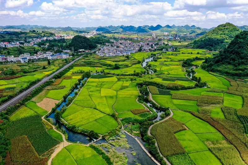 安順市西秀區(qū)鮑家屯水利灌溉系統(tǒng)“魚嘴分流”設(shè)施及稻田。潘希來 攝.JPG