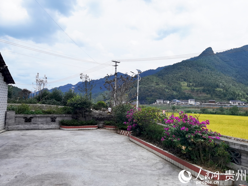 村民的院子干凈整潔、鮮花盛開。人民網記者 王秀芳攝