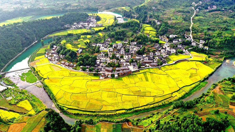 山環水繞。羅逸攝