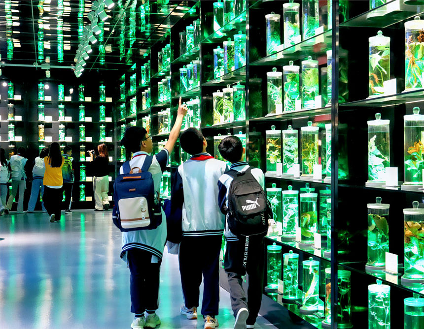 貴陽市第二實驗小學師生走進貴州中醫藥大學開展中醫藥文化進校園活動。貴州中醫藥大學供圖