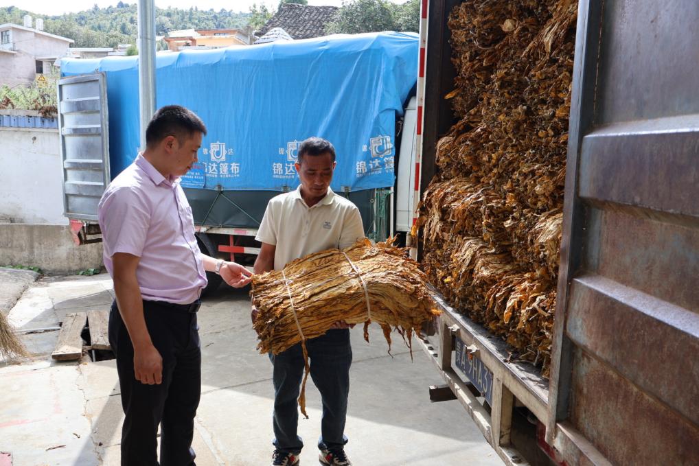 煙農唐大哥向農行開陽縣支行客戶經理介紹烤煙烘烤情況。