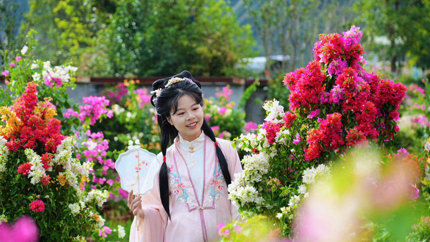 游客在精品梅花海中打卡。