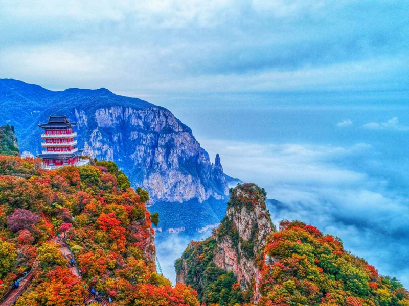 觀云海,賞紅葉,邂逅王維詩里的云臺山。段超攝