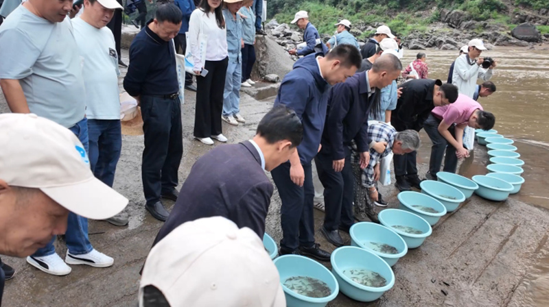 放流現(xiàn)場。稅會靜攝