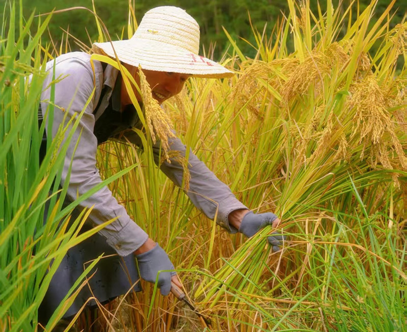 深入田間地頭。