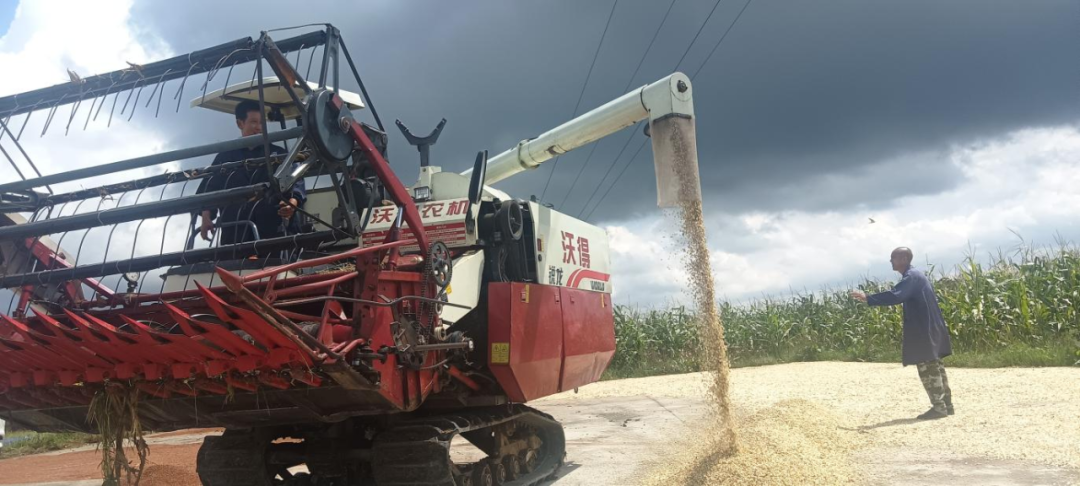 農業產業與科技賦能助力豐收季。