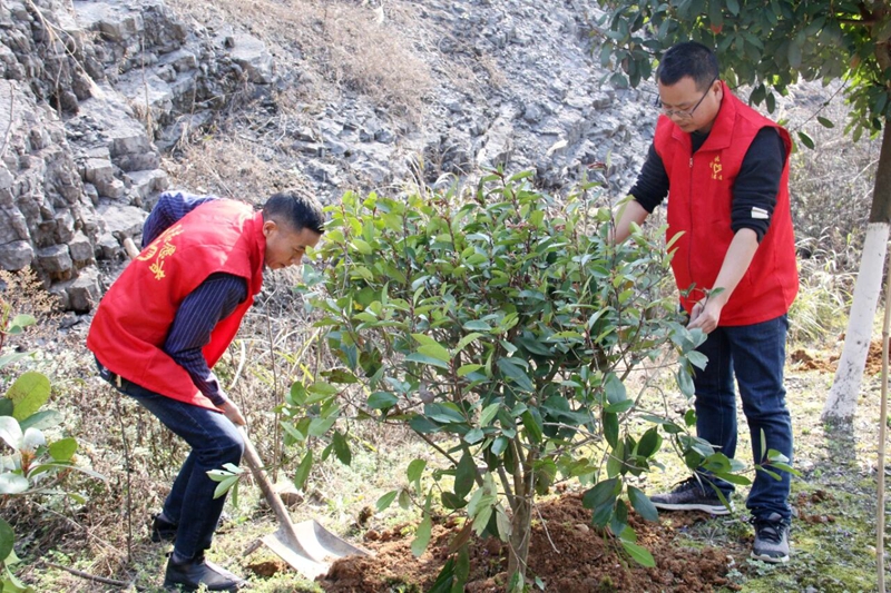 5 圖為青年志愿者在公路沿線開展綠化植樹活動.jpg