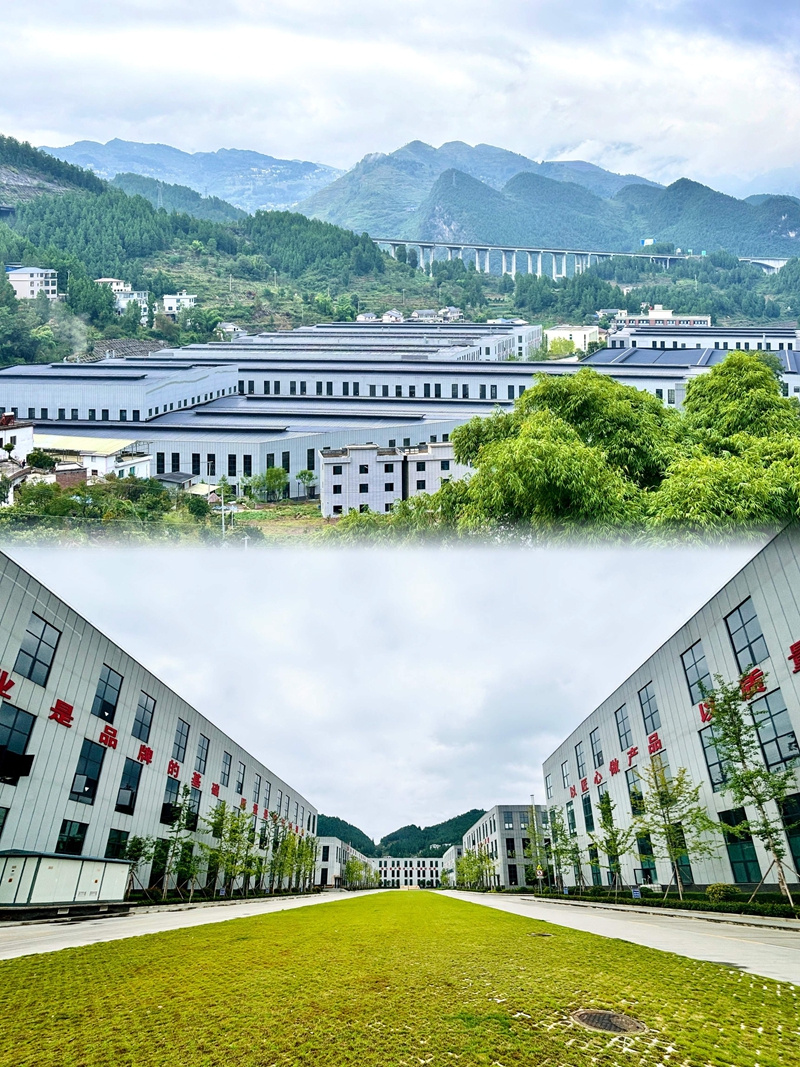 2、村頭矗立起的俊豐包材園區，為村民提供了家門口就業的機會。王燁 攝.jpg