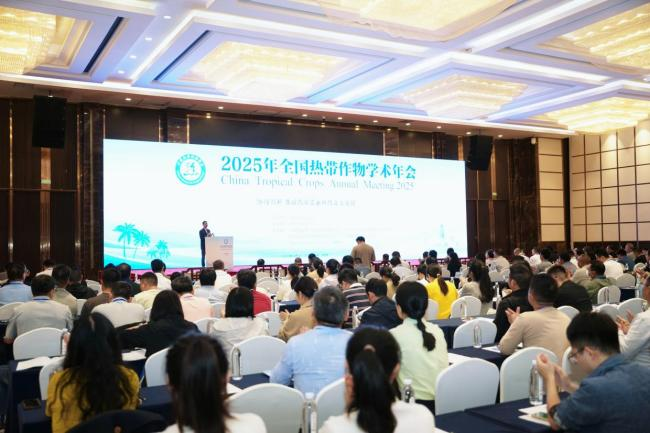 活動(dòng)現(xiàn)場(chǎng)。