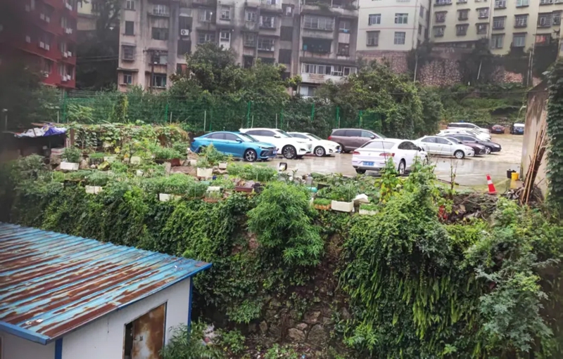 南婭社區(qū)堡坎改造前。