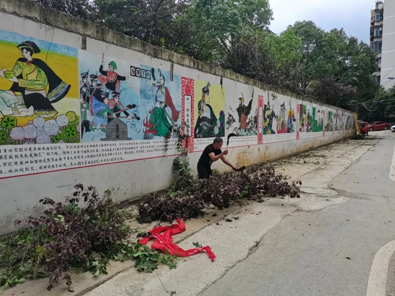 吉貴大院的爬山虎清理中。