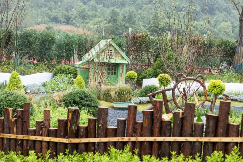 6、卡皮pupu萌寵館。