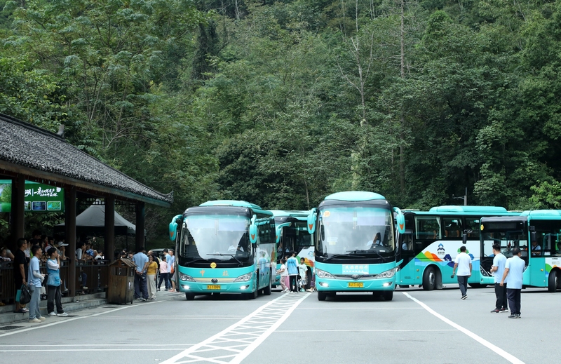 景區觀光車高效運轉。戴友維攝