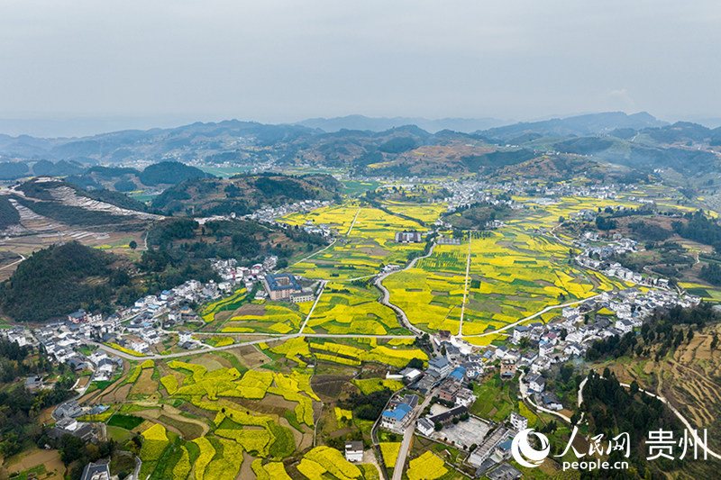 官倉“和美鄉(xiāng)村”新畫卷。人民網(wǎng)記者 涂敏攝