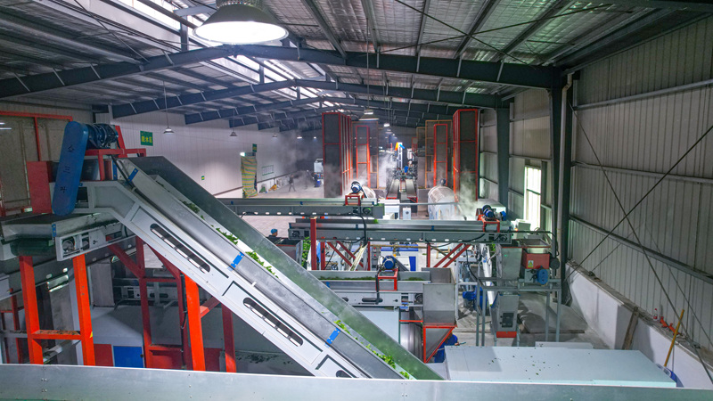 碾茶創(chuàng)新中心生產(chǎn)車間。金莎攝