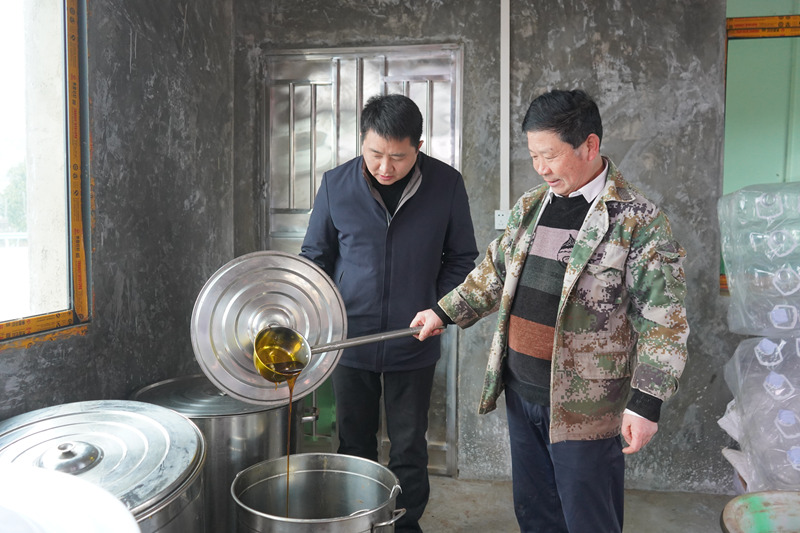 金沙縣人大代表陳靜在安底鎮(zhèn)老場村茅金菇小榨油加工廠看現(xiàn)榨的小菜油。黃源匯攝