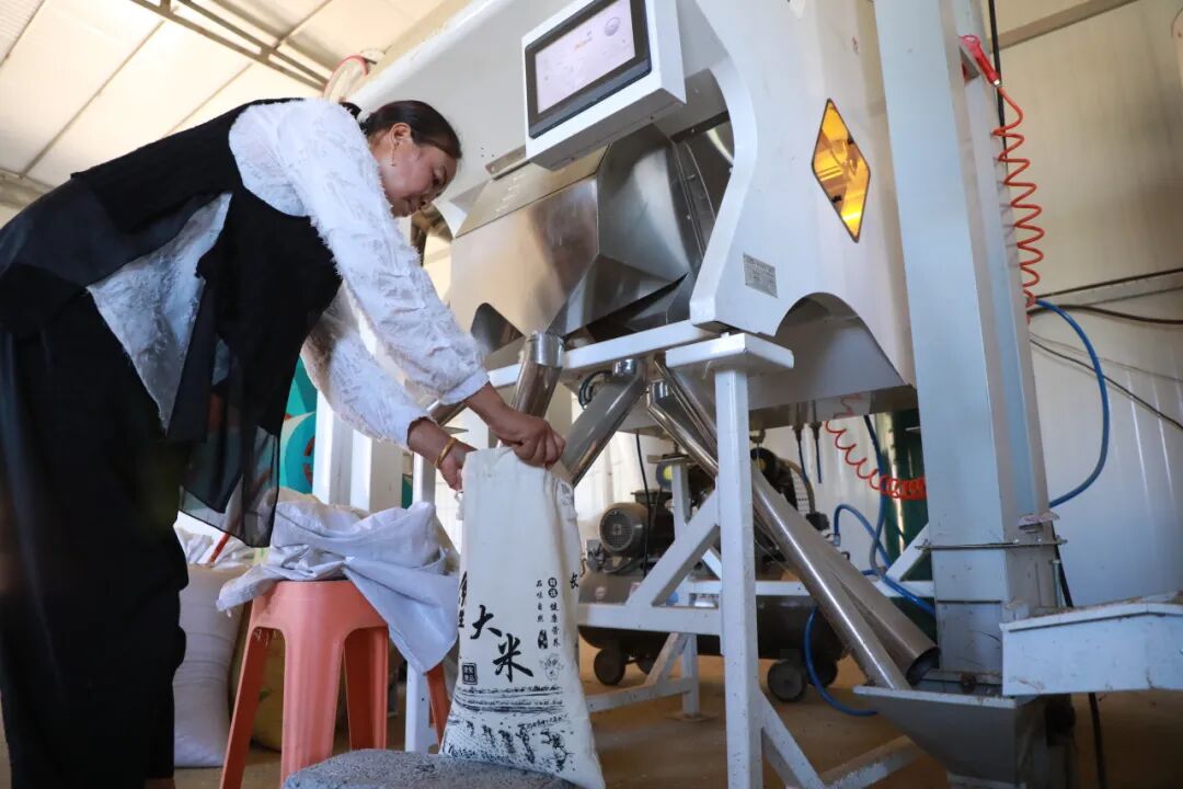 經過一系列“操作”后,大米顆粒歸倉。