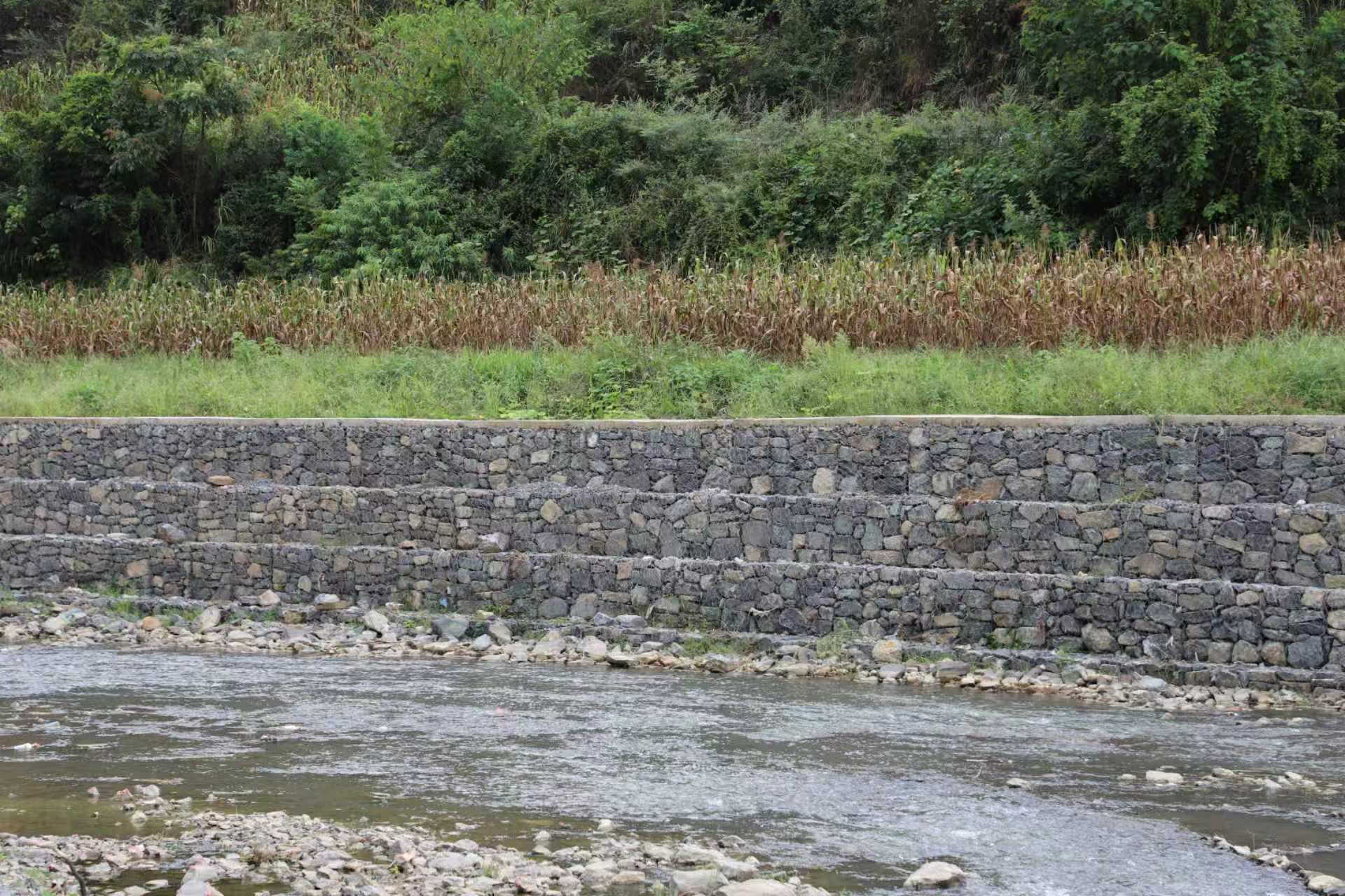 加固的堤防護岸.彭垚攝