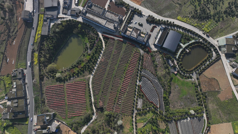 貴州金沙禹謨泡木灣醋業(yè)有限公司鳥瞰圖。金莎攝