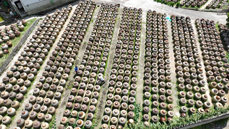 在溫邦賢的醋園里，密密麻麻的醋缸整齊排列，在陽光下靜靜發(fā)酵。金莎攝