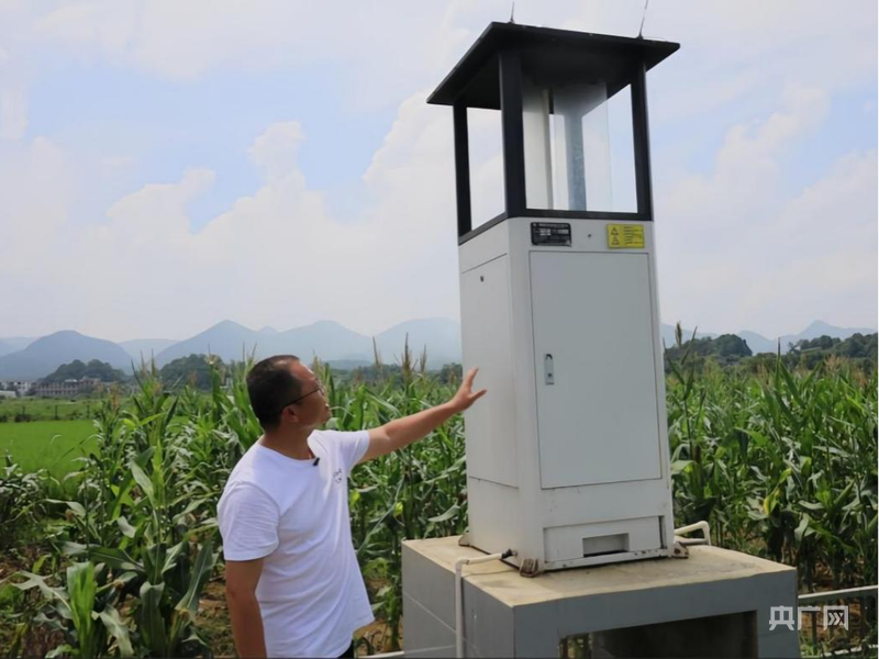 物聯網自動蟲情信息采集設備助力農業提質增效（央廣網記者 欒小琳 攝）