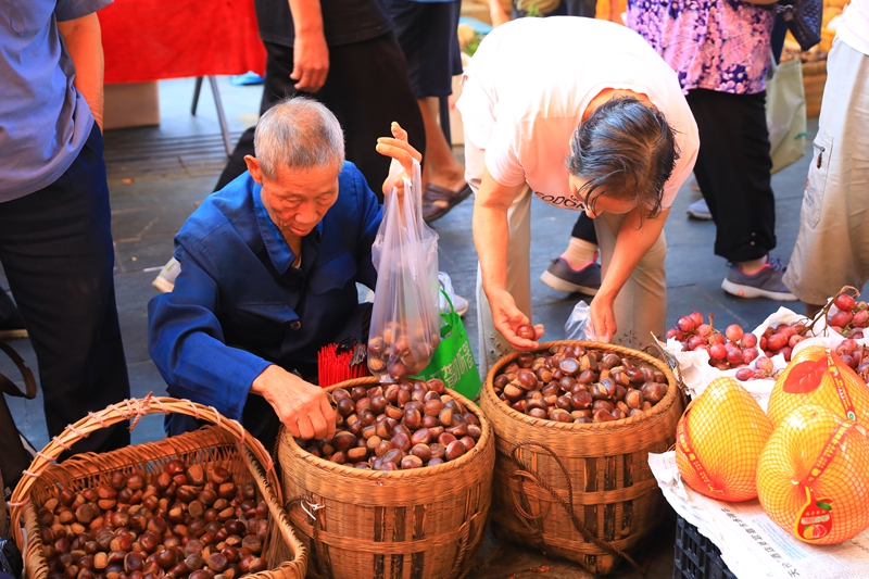 顧客正在挑選板栗。 吳麟欽 攝