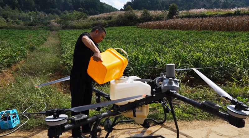 西秀區楊武鄉科技賦能小黃姜產業增產增收。
