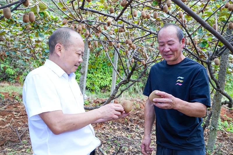 4、客戶經(jīng)理了解種植情況。