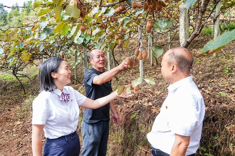 6、豐收的笑容。