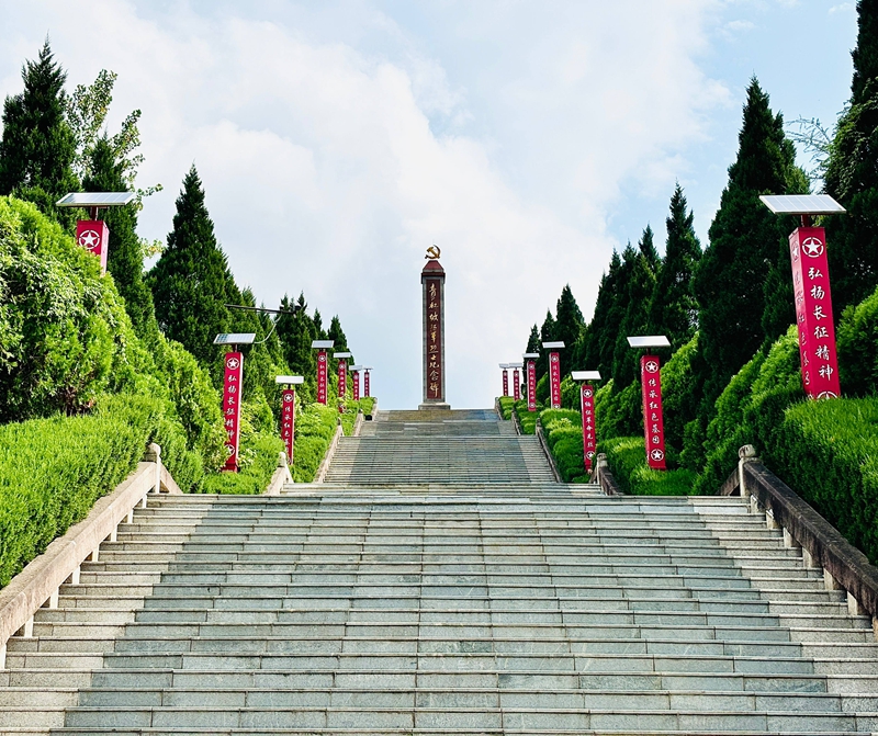 1、在青杠坡戰斗遺址,沿著寬闊的石階緩緩向上,松柏蒼翠,青山肅立。刁苓沙 攝.jpg