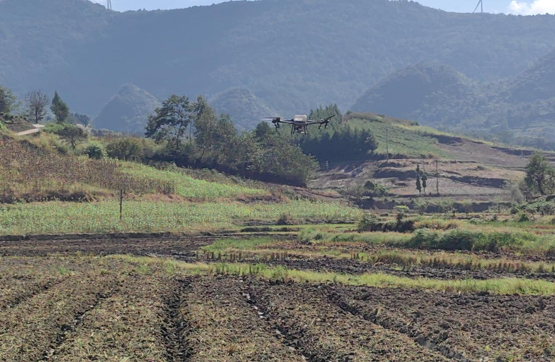 搶抓秋冬種農時機械化助力油菜高效種植。