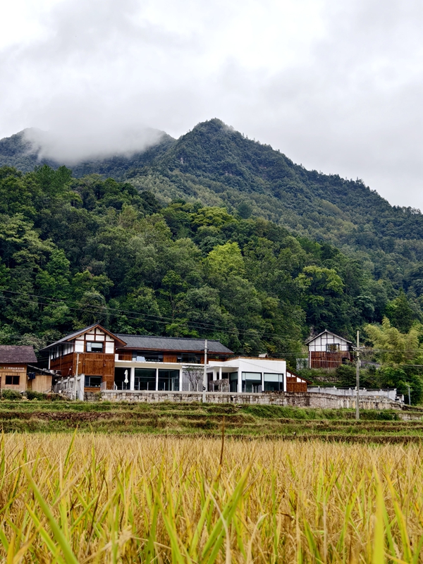 1、坐落在山腳的民宿，風(fēng)里；飄著的稻香，恍惚有“采菊東籬下”之感。.jpg