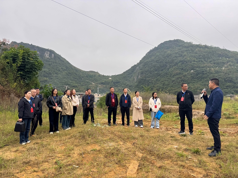 視察現(xiàn)場(chǎng)。