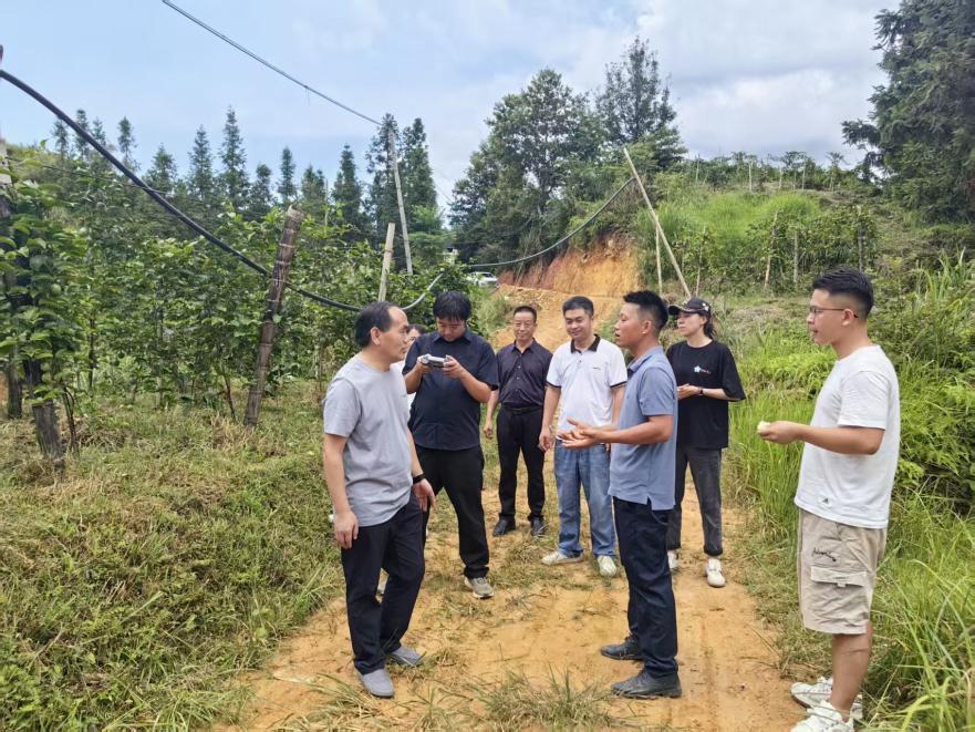 駐村工作隊邀請專家到村指導(dǎo)百香果產(chǎn)業(yè)發(fā)展。