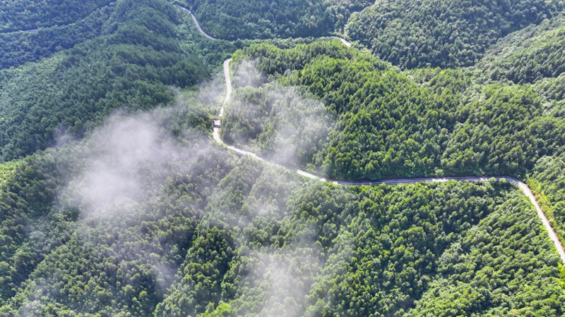 梵凈山加強(qiáng)文化遺產(chǎn)保護(hù)利用推進(jìn)文旅融合發(fā)展。