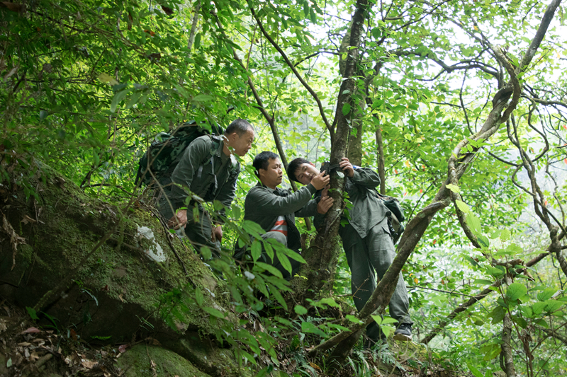 梵凈山加強(qiáng)文化遺產(chǎn)保護(hù)利用推進(jìn)文旅融合發(fā)展。