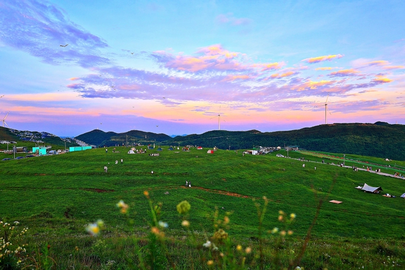 黔東草海景區(qū)。圖 石啟志