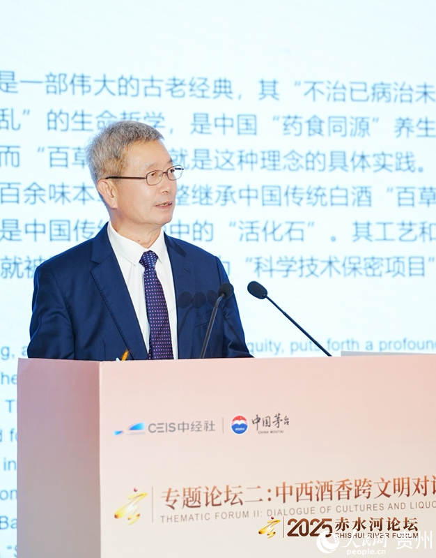 蔡友平在論壇現場發言。人民網記者 高華攝